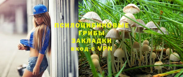 гидропоника Балахна