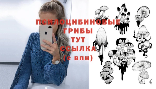 гидропоника Балахна
