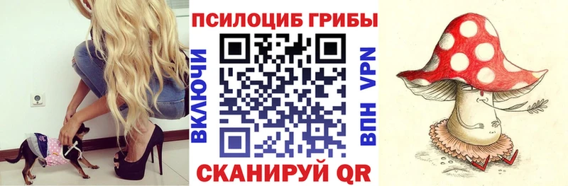 Псилоцибиновые грибы Magic Shrooms Шумиха